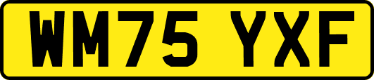 WM75YXF