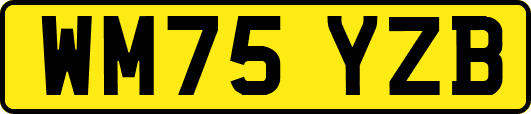 WM75YZB