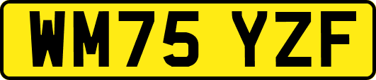 WM75YZF