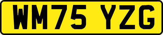 WM75YZG