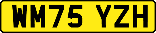 WM75YZH