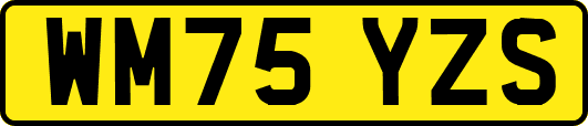 WM75YZS