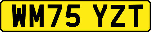 WM75YZT