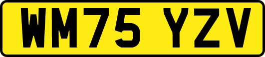 WM75YZV