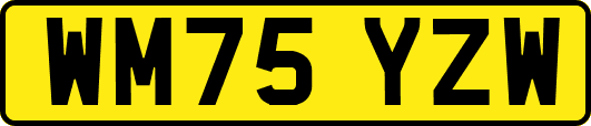 WM75YZW