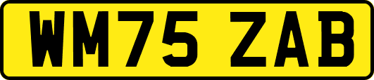 WM75ZAB