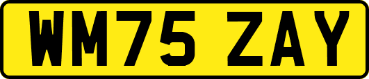 WM75ZAY