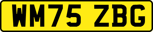 WM75ZBG