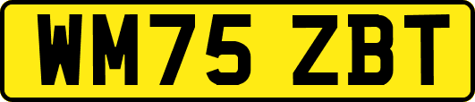 WM75ZBT