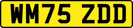 WM75ZDD