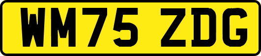WM75ZDG