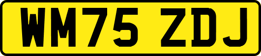 WM75ZDJ
