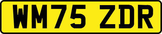WM75ZDR