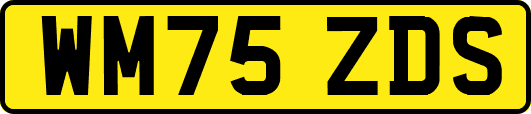 WM75ZDS
