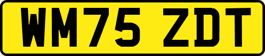 WM75ZDT