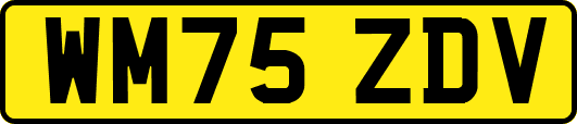 WM75ZDV