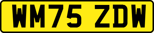 WM75ZDW