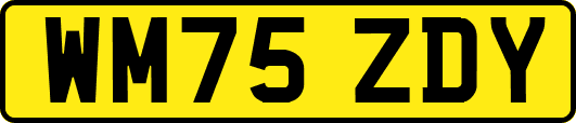 WM75ZDY