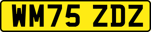 WM75ZDZ