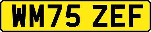 WM75ZEF