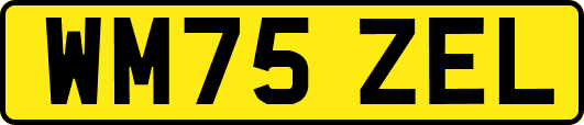 WM75ZEL