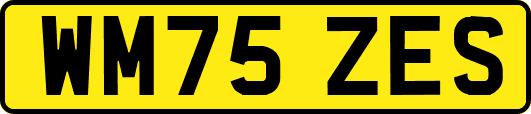 WM75ZES