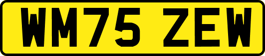 WM75ZEW