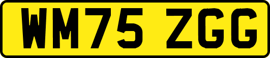 WM75ZGG