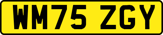 WM75ZGY