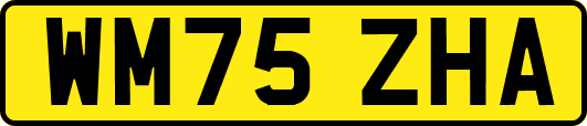 WM75ZHA