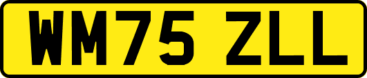 WM75ZLL