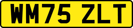 WM75ZLT