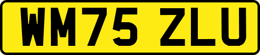 WM75ZLU
