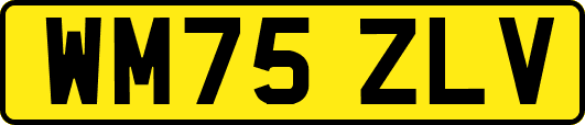 WM75ZLV