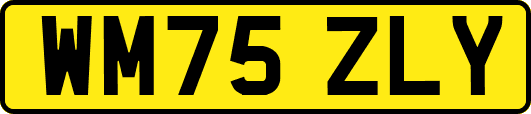 WM75ZLY