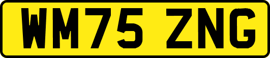 WM75ZNG
