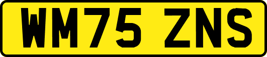 WM75ZNS