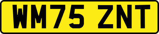 WM75ZNT
