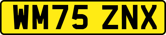 WM75ZNX
