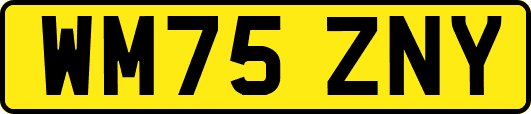WM75ZNY