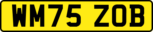 WM75ZOB