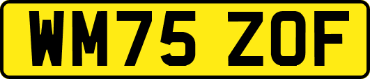 WM75ZOF