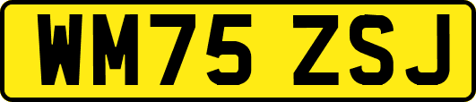 WM75ZSJ