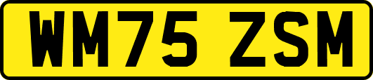 WM75ZSM