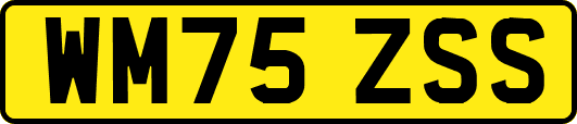 WM75ZSS