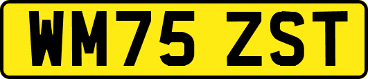 WM75ZST