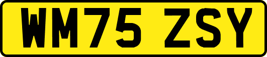 WM75ZSY