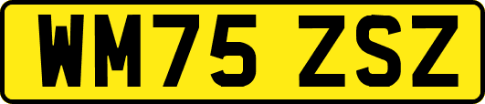 WM75ZSZ