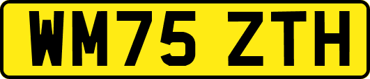 WM75ZTH