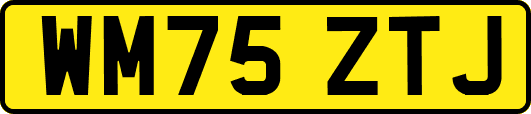 WM75ZTJ